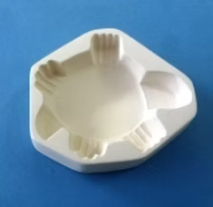 Mold Casting Turtle