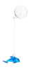 Floating Fish