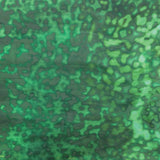 Teal and Dark Green Oceana