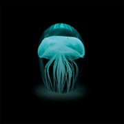 Paperweight Baby Jelly Fish Confetti Glow