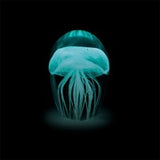 Paperweight Baby Jelly Fish Confetti Glow