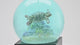 Sea Turtle Snow Globe