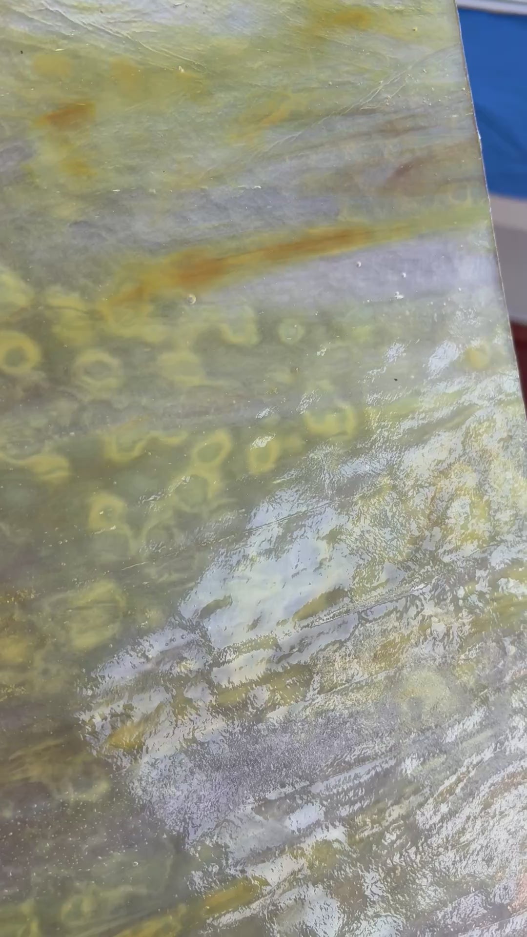 White Ice, Autumn Gold, Yellow Gold Stipple