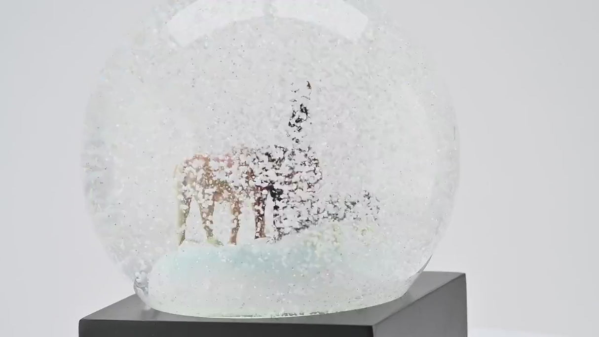 Horses Snow Globe