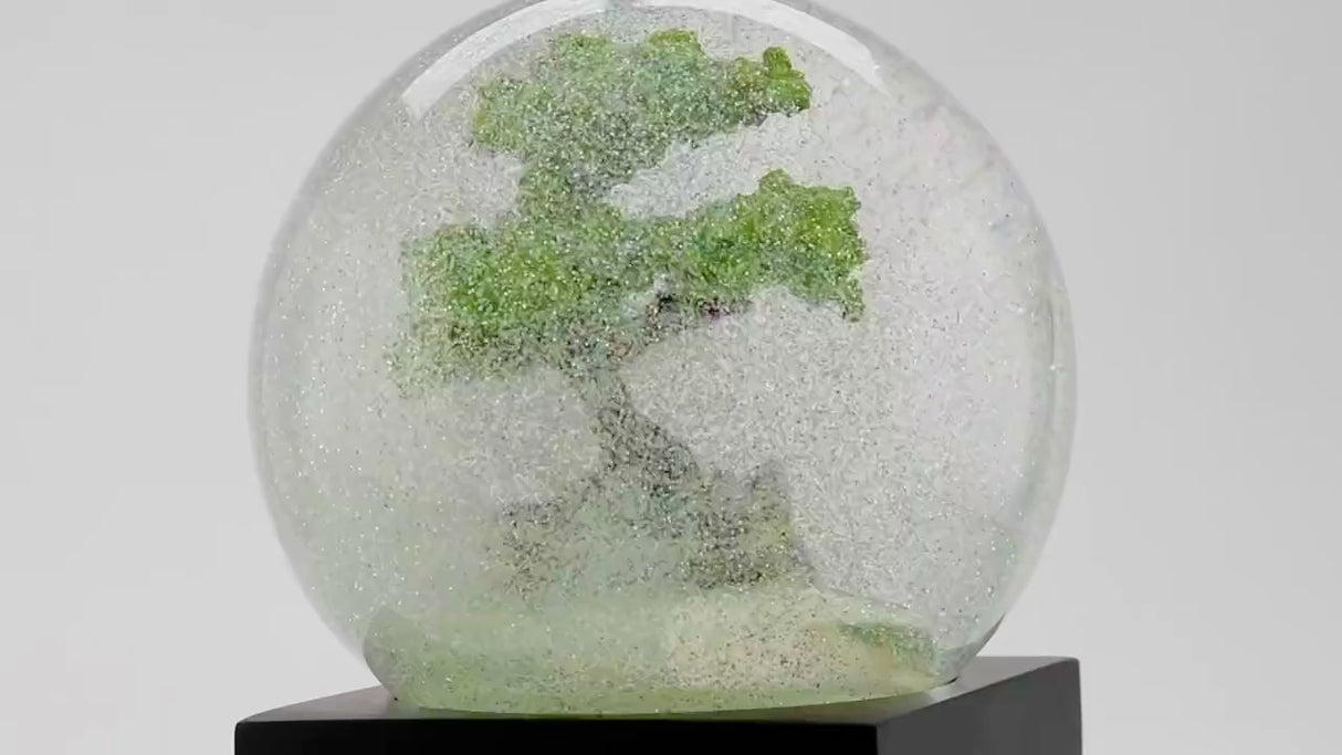 Bonsai Snow Globe