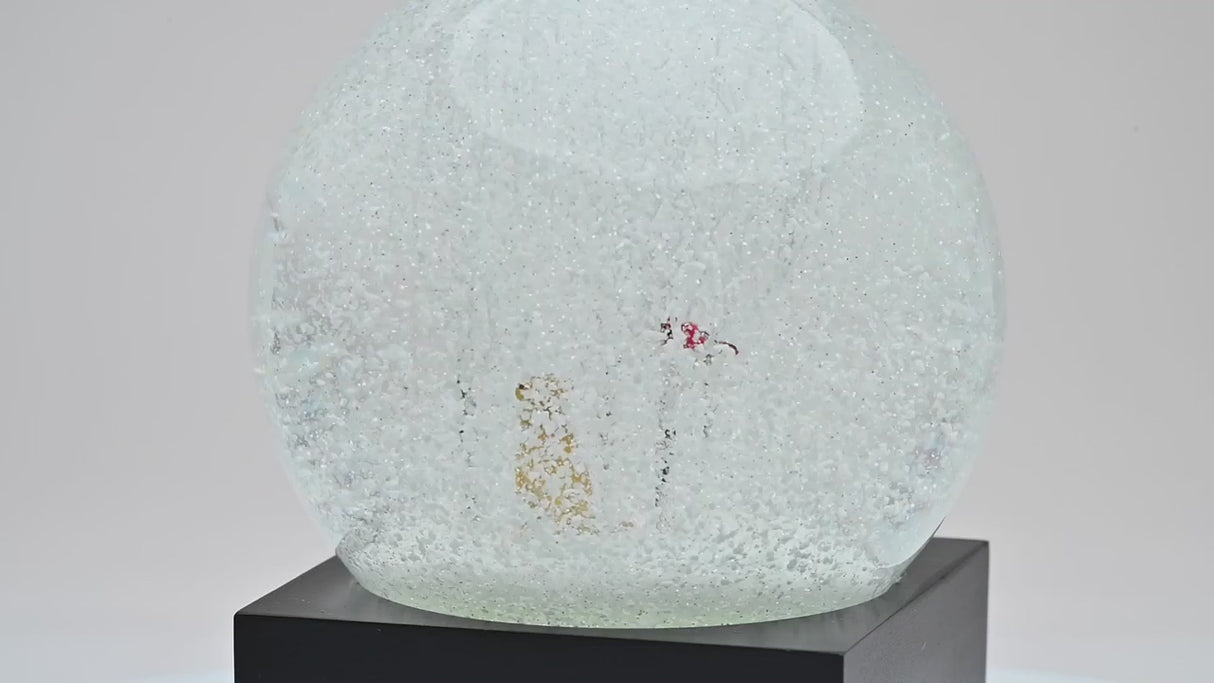 Snow Globe Lab In The Woods