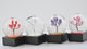 Four Seasons Mini Snow Globe Set