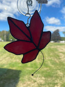 Maple Leaf