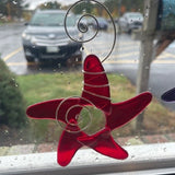 Sea Stars by Katherine Adams-Gary