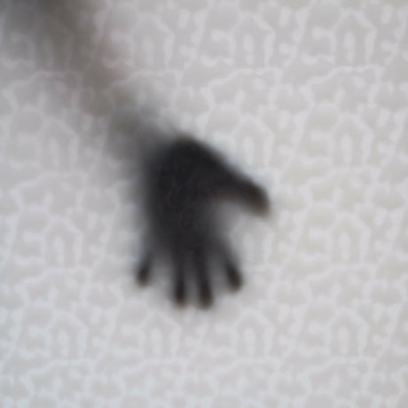 Translucent White Flemish