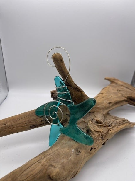 Sea Stars by Katherine Adams-Gary