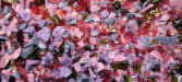 Vintage Rose Dazzlings Med Frit Blend 96 & 104 COE